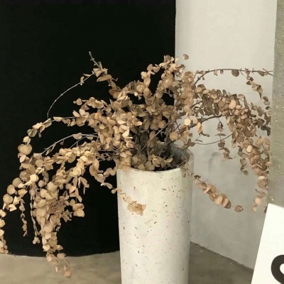 Furry绘画质感技巧FurryQQ群